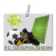 Sentorette - football eco