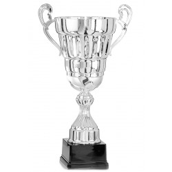 Coupe 41 cm