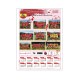 CALENDRIER EXPRESS RECTO SANS BLOC - FOOTBALL