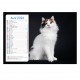Calendriers 12 pages "Chat-Chien"