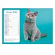 Calendriers 12 pages "Chat-Chien"