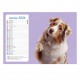 Calendriers 12 pages "Chat-Chien"