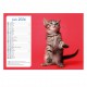 Calendriers 12 pages "Chat-Chien"
