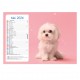 Calendriers 12 pages "Chat-Chien"