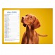 Calendriers 12 pages "Chat-Chien"