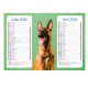 Calendriers 12 pages "Chat-Chien"