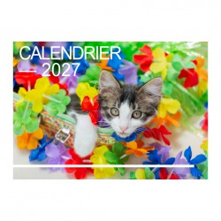 Calendriers 12 pages "Chat-Chien"