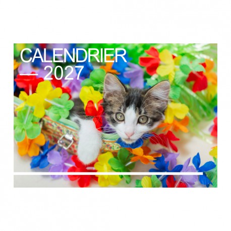 Calendriers 12 pages "Chat-Chien"