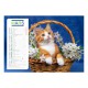 Calendriers 12 pages "Chat-Chien"