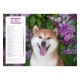 Calendriers 12 pages "Chat-Chien"