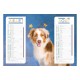 Calendriers 12 pages "Chat-Chien"