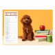 Calendriers 12 pages "Chat-Chien"
