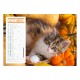 Calendriers 12 pages "Chat-Chien"
