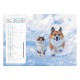 Calendriers 12 pages "Chat-Chien"