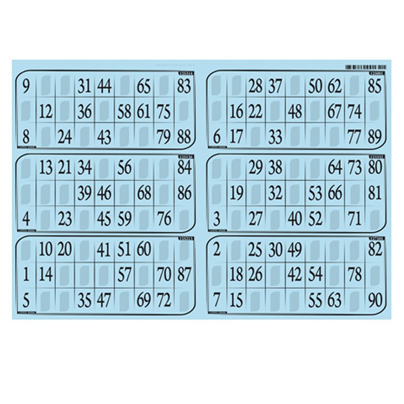 Plaque de 06 cartons de loto - Lot de 5 plaques - Plastic Jeux