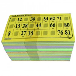 Cartes de loto Bristol  personnalisées (lot de 500)