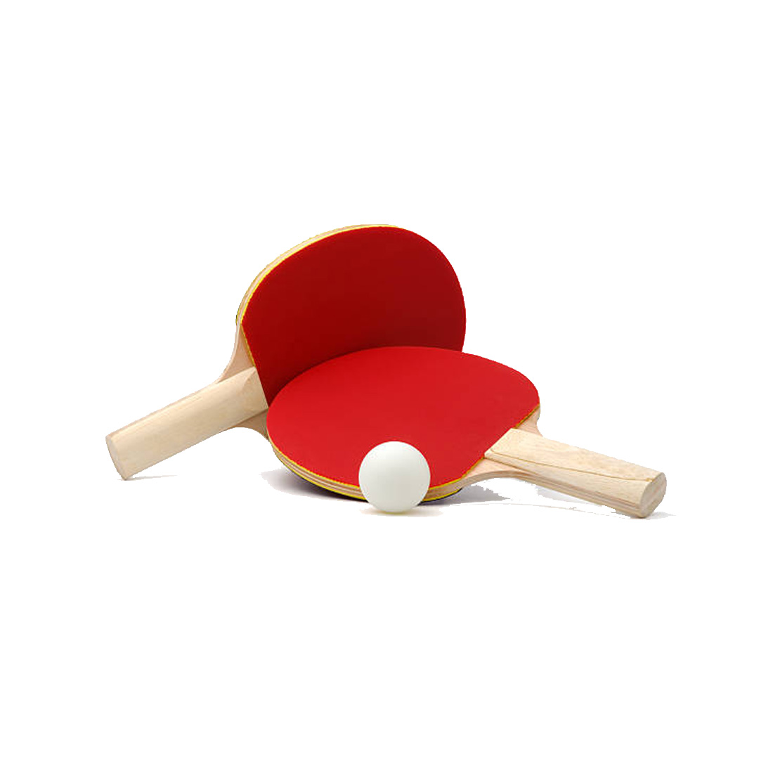 Set 2 raquettes ping pong