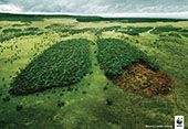 PHOTO-WWF.jpg